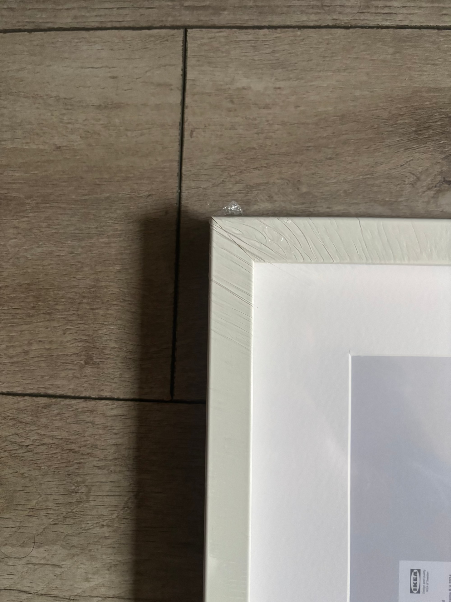 Koesterlijnen Portret